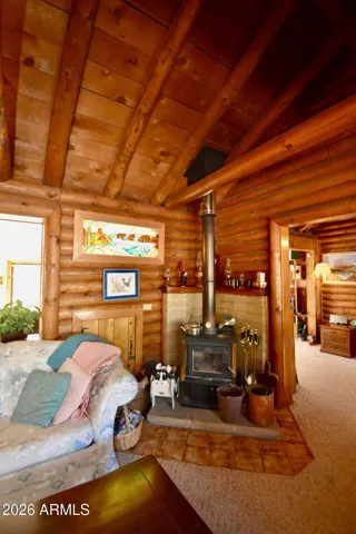 High Efficiency Wood Burning Stove