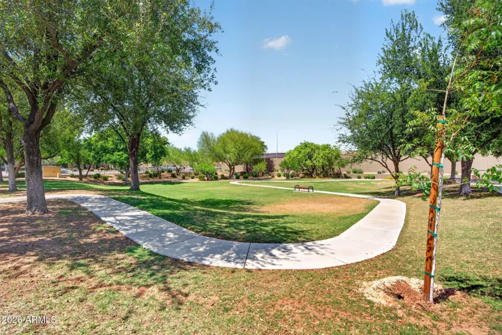huge shaded walking path