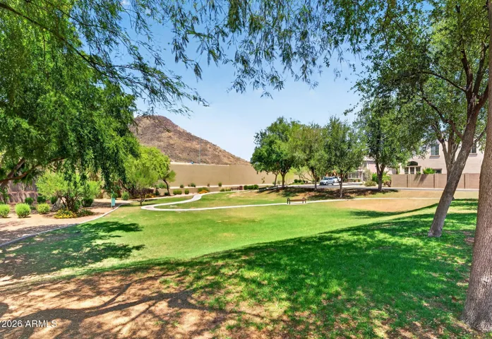 huge shaded walking path