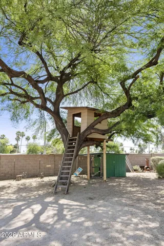 Tree house