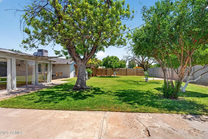 Backyard