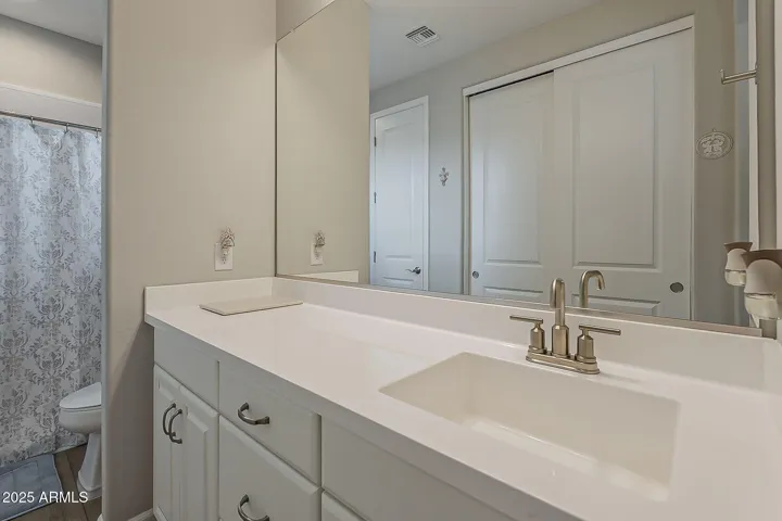 Raised Toilet and Vanity