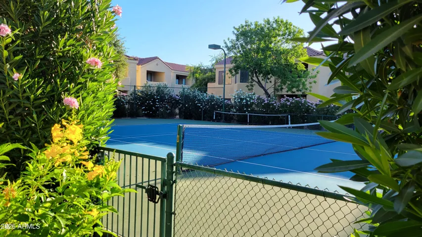 Tennis Courts