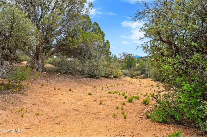 This Driveway provides access to the back of the property.