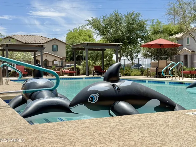 Community Pool with community floaties