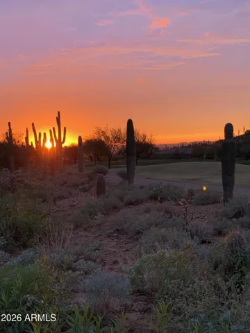Backyard sunsets