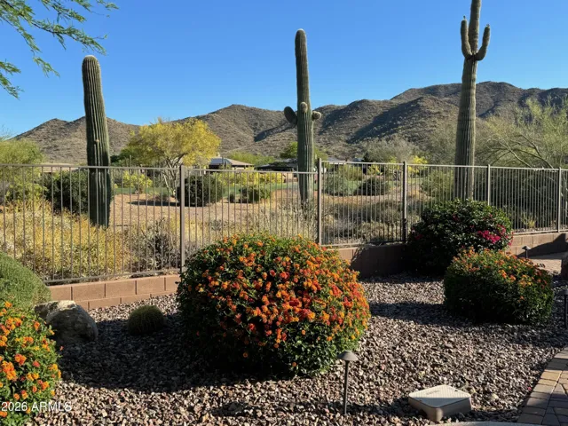 Spectacular views in the backyard