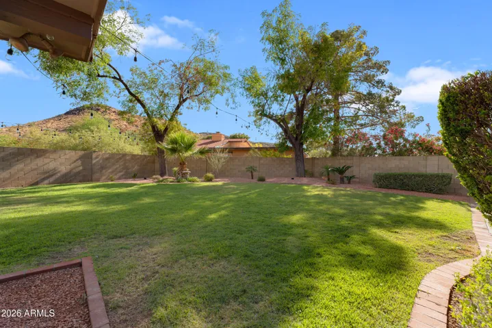 West Backyard lawn