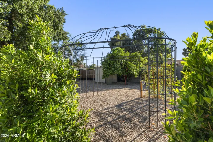 Pergola