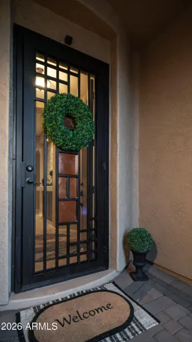Custom Iron and Glass Door