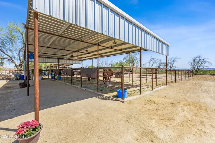 4 Custom Horse Stalls, with turnout area