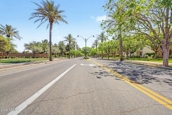 Tree lines streets
