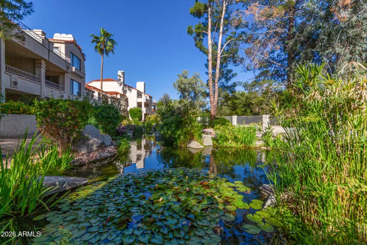 Pond in the community