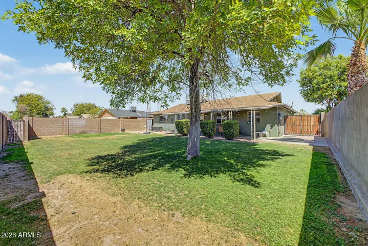 South facing backyard