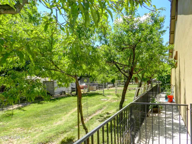 East side orchard