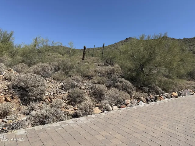 Pavers for Driveway