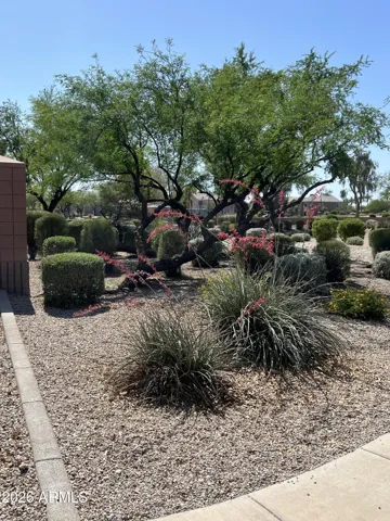 Next to park