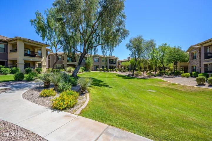 Grassy areas for all to enjoy!