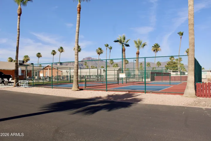 Community pickle-ball