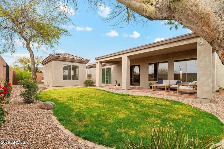 Large Grass Backyard