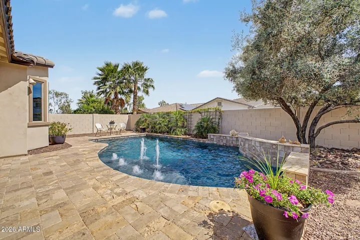 Backyard view