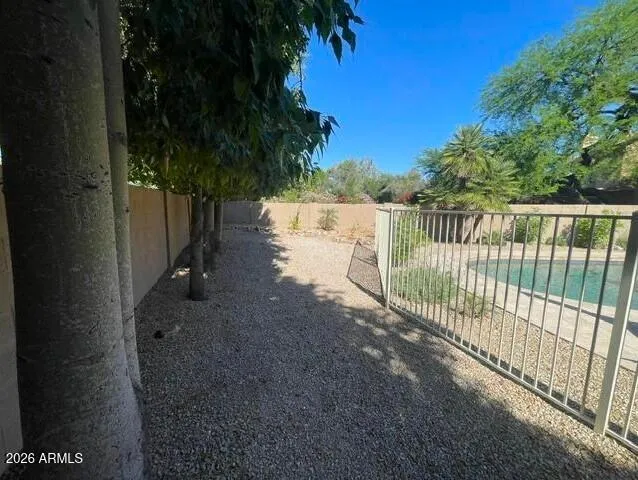 Shaded Dog Run