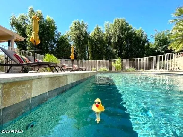 Relax in the Pool after Lounging