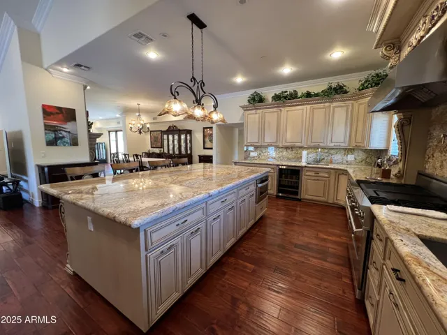 Entertainer's kitchen