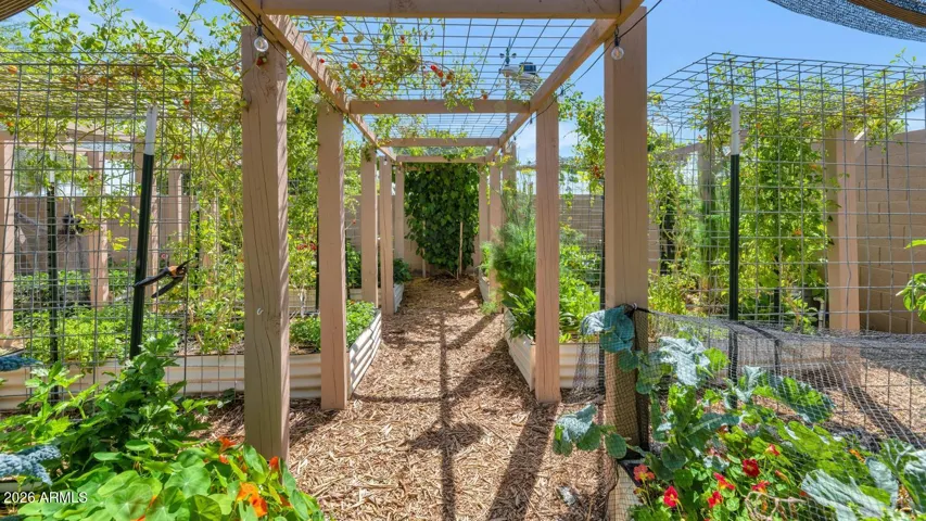 Thoughtfully designed vegetable garden featuring raised beds, mature fruit trees, herbs, berries, and producing grapevines. The entire space is supported by an automated grid watering system for effortless maintenance.