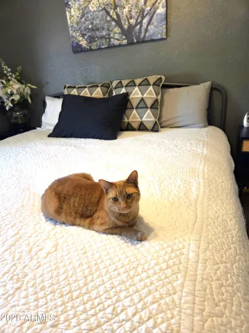 Meet Bug - Try not to let her out.