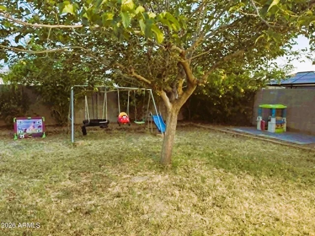 Back Yard Shade Tree