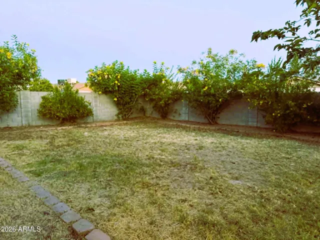 Back Yard Looking East