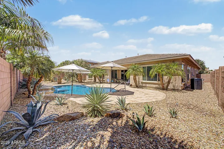 Your Backyard Oasis