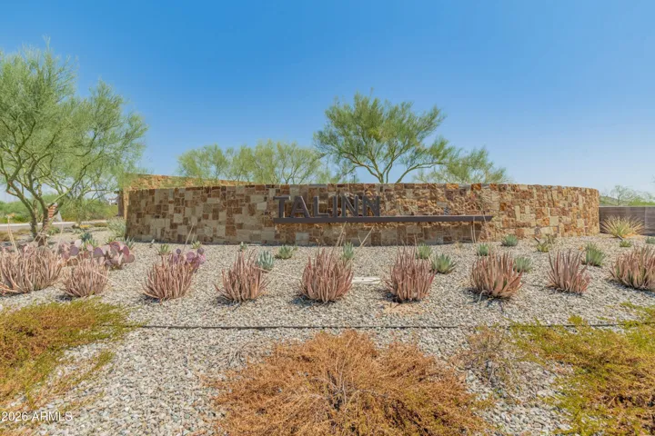 Talinn at Desert Ridge