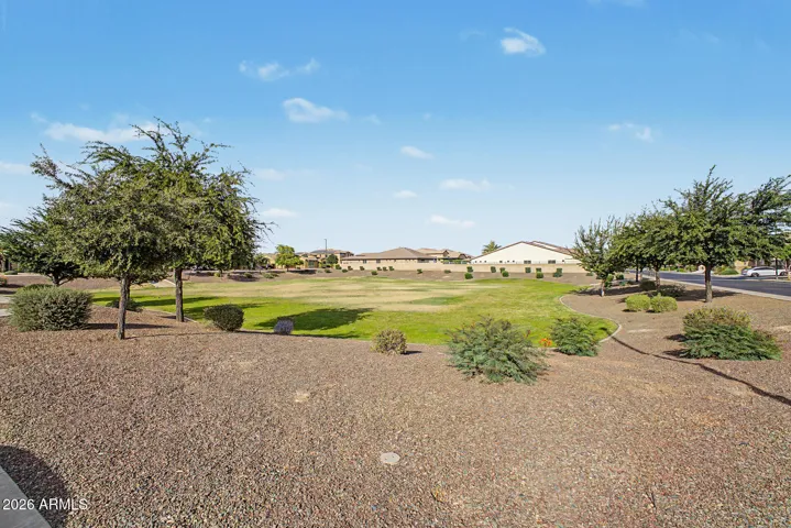 Community Park