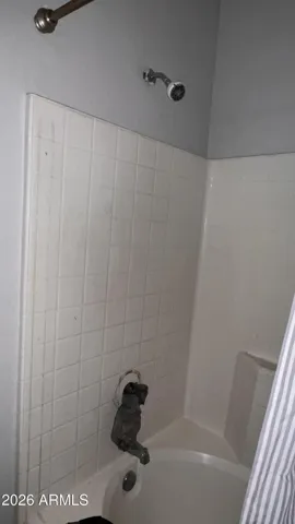 Master shower