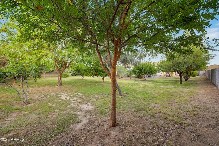 Irrigated acre lot with mature landscaping