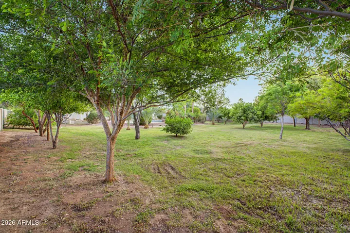 Irrigated acre lot with mature landscaping