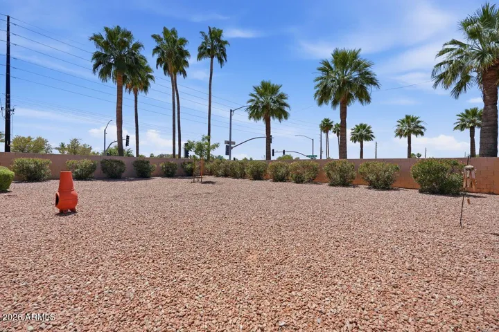 Low maintenance backyard