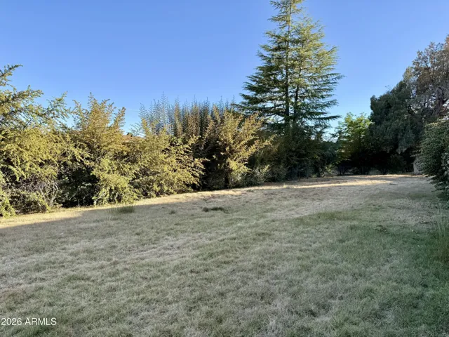 Verdant Common Area