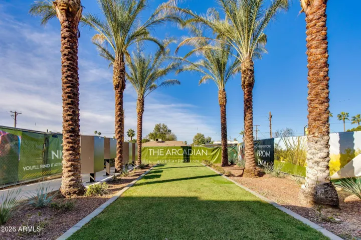 Palm tree lined green space