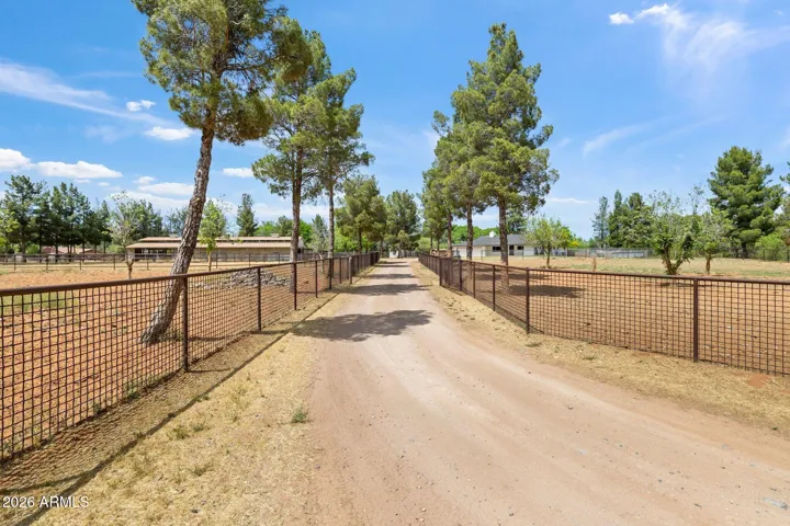 Driveway w/ pastures on each side