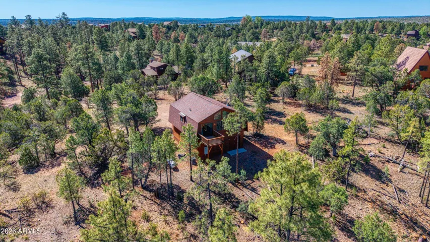 Ariel view showing tall pines & no neighbors too close.