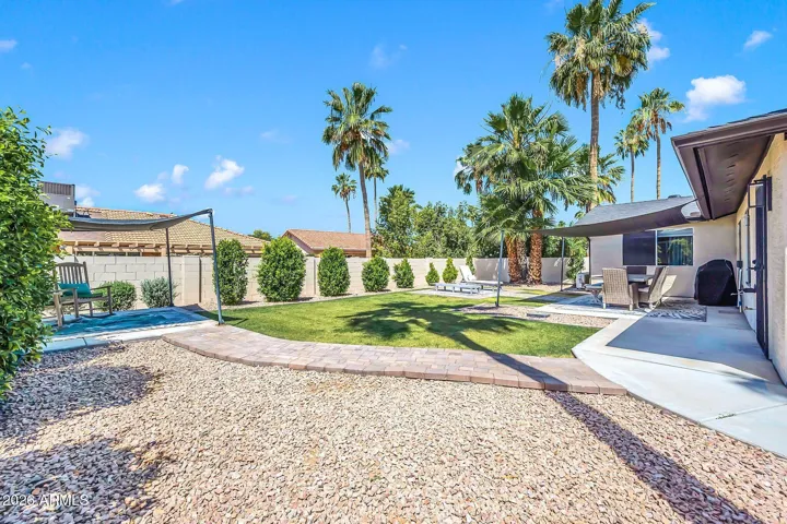 Super spacious backyard