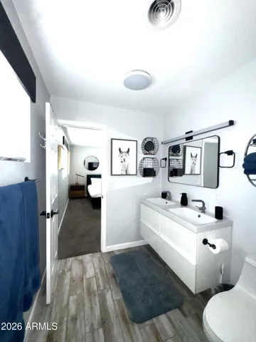Primary ensuite vanity