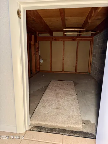 Storage closet under staircase