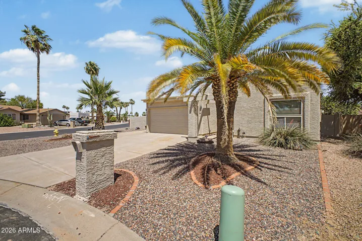 low-maintenance desert landscaping