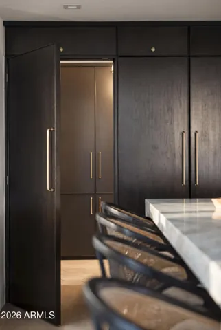 Hidden access to pantry