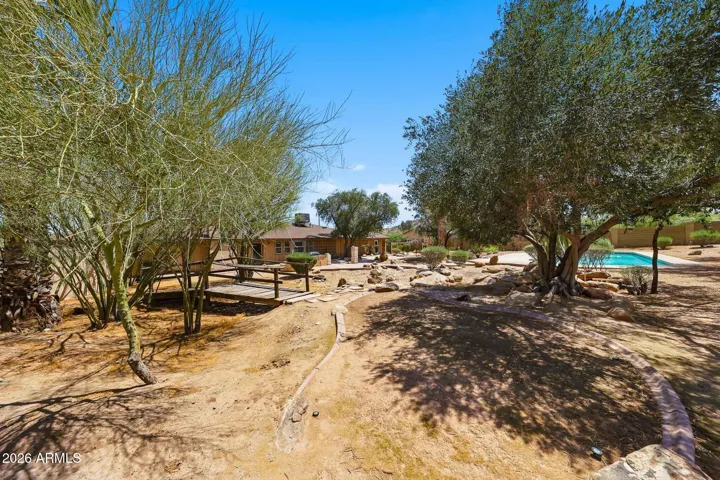 Beautiful and natural desert landscaping by design.