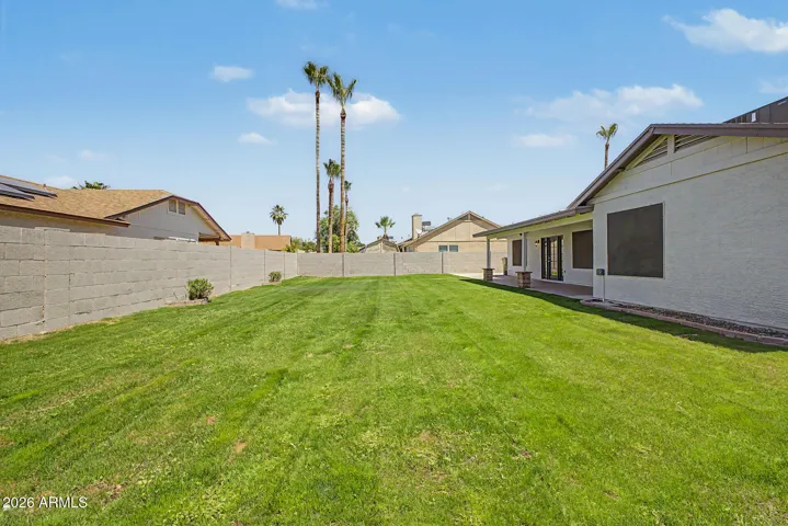 Large grass backyard